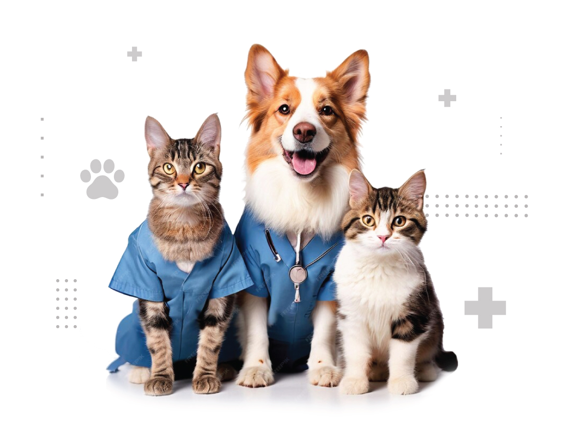 Chirurgie3-inside-page