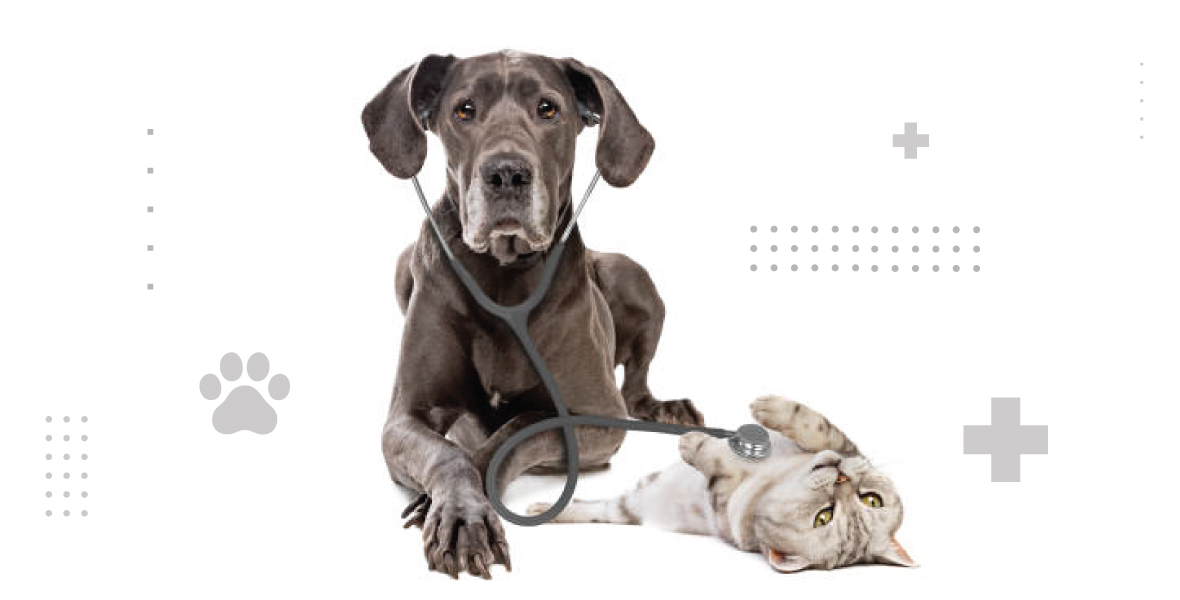 Preventie-inside-page