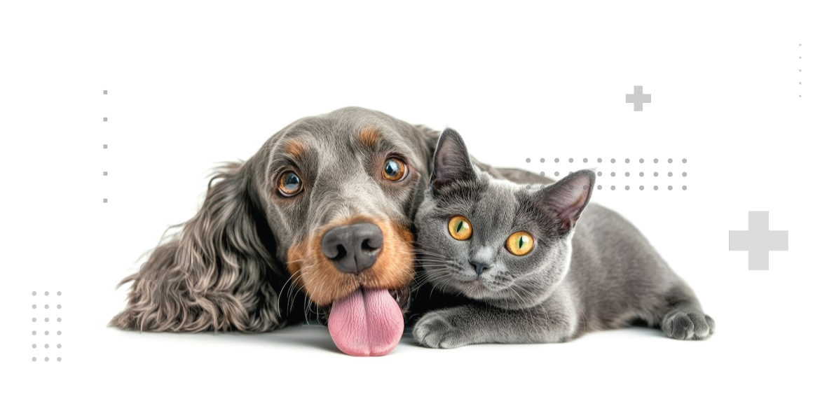 Tratament-inside-page