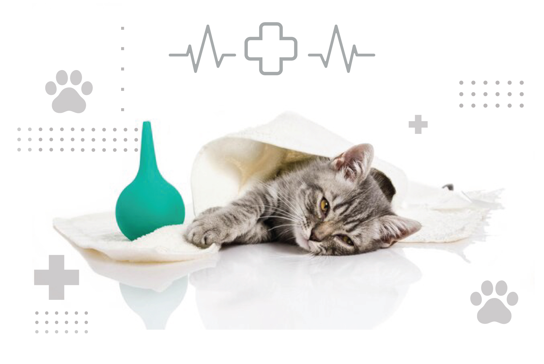 Cover-semne-durere-pisici