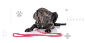 Scaderea-interac-iunii-sociale